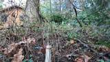 792 Shelter Bay Dr - Photo 7