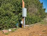 317 Sand Dune Avenue - Photo 6