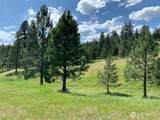 35 Low Ridge Road - Photo 24