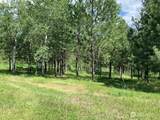 35 Low Ridge Road - Photo 26