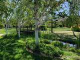 764 Quail Run - Photo 32