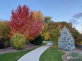 764 Quail Run - Photo 38