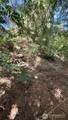 32206 R Place - Photo 7