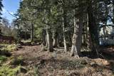 0 Salmonberry Road - Photo 14