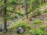 3720 Icicle Rd Fs 7600 Road - Photo 13