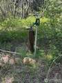 3720 Icicle Rd Fs 7600 Road - Photo 15