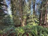 2211 Lindberg Road - Photo 19