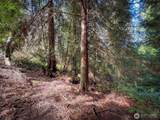 2211 Lindberg Road - Photo 20