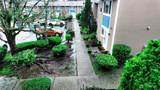 10601 252nd Street - Photo 15