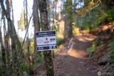 1120 Birch Falls Drive - Photo 34