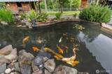 868 Coal Creek Road - Photo 28