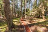 31 Josephine Place - Photo 34