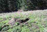 1111 Sandwith Road - Photo 14