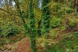0 Dash Point Road - Photo 5