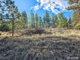 380 Lot Chopaka Tbd Road - Photo 10