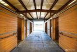 1013 Mallard Lane - Photo 35