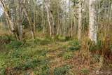 0 NHN Polnell Road - Photo 17