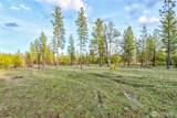 0 Lot 7 Greyback Mountain Road - Photo 3