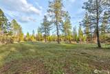 0 Lot 7 Greyback Mountain Road - Photo 4