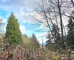 21211 35th Avenue - Photo 10