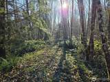0 NKA Fall River Road - Photo 3