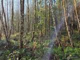 0 NKA Fall River Road - Photo 5