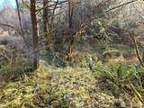 0 NKA Fall River Road - Photo 6