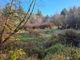 0 NKA Fall River Road - Photo 7