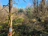 0 NKA Fall River Road - Photo 8