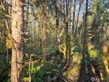 0 NKA Fall River Road - Photo 9