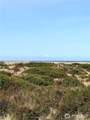 1027 Sand Dune Avenue - Photo 4