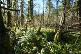 0 Old Cascade Hwy - Photo 11