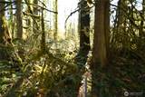 0 Old Cascade Hwy - Photo 7