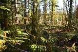 0 Old Cascade Hwy - Photo 8