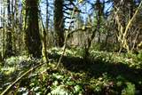 0 Old Cascade Hwy - Photo 10