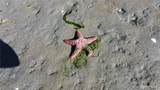 111 Seven Sisters Beach - Photo 16