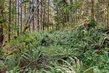 1 Skate Creek Road - Photo 29