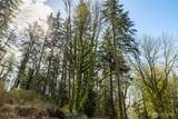 29631 124th Avenue - Photo 8