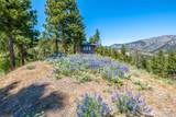1021 Chicken Farm Lane - Photo 16