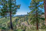 1021 Chicken Farm Lane - Photo 34