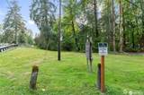 23321 River Drive - Photo 19