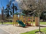 16529 White Mountain Road - Photo 32