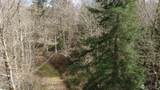 1 XXXX Blacktail Court - Photo 13