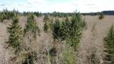 1 XXXX Blacktail Court - Photo 6