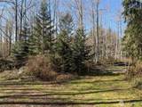 1 XXXX Blacktail Court - Photo 8