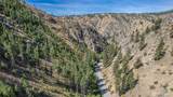 10558 Mud Creek Road - Photo 22