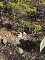 151 Amy Court - Photo 12