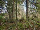 197 xx 242nd Avenue - Photo 18
