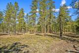 38 Wanawish Loop - Photo 8