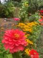 2501 149th Street - Photo 35